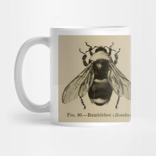 Bumblebee Bee Vintage Illustration Mug